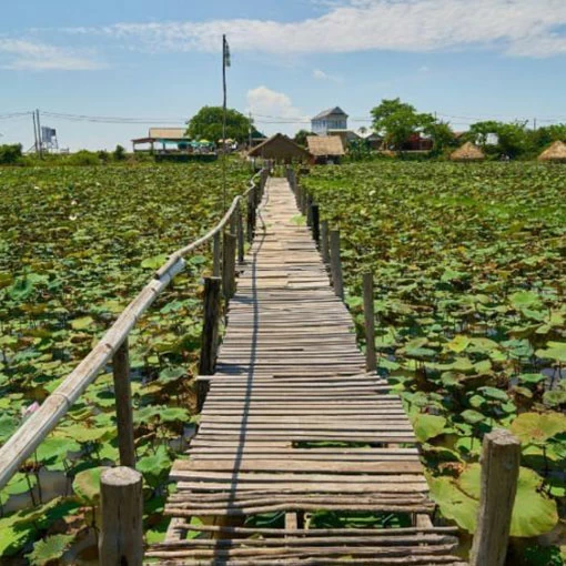 Cambodia
