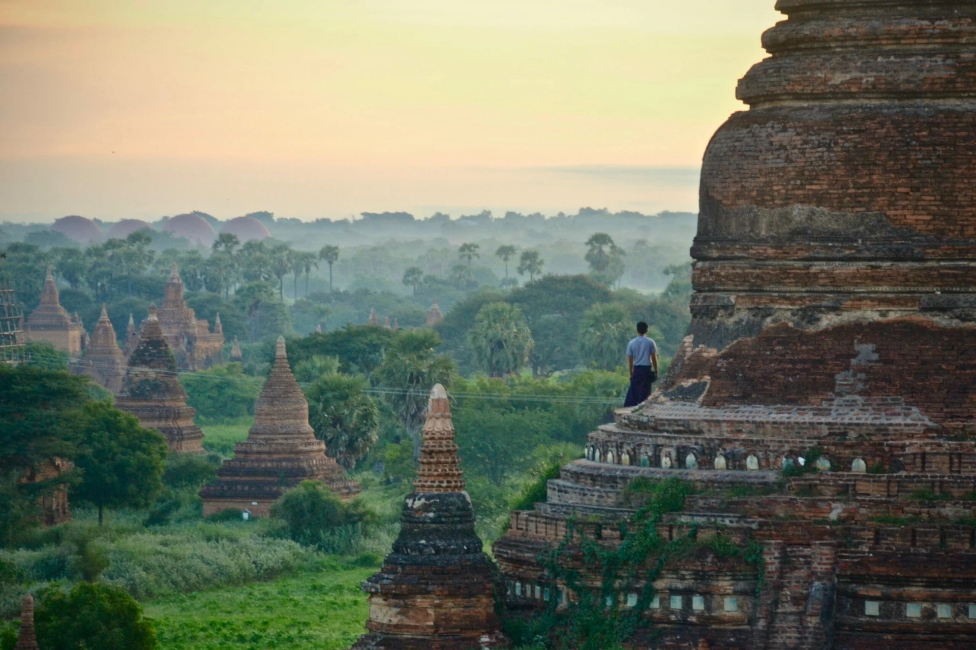 sebastien-goldberg-ZTIEPcsjJaw-unsplash South Asian Nations