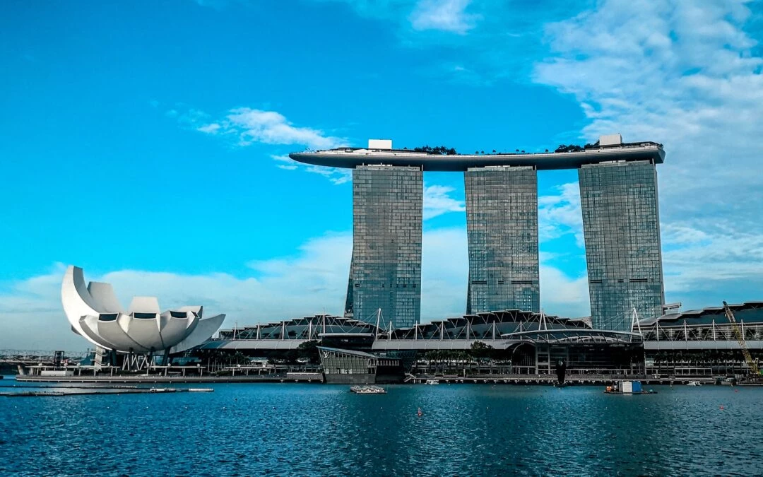 How To Pursue TEFL Online Course in Singapore?