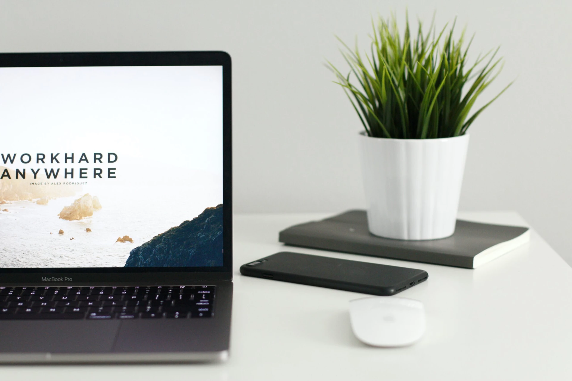 kevin-bhagat-zNRITe8NPqY-unsplash (2) Job Search Assistance