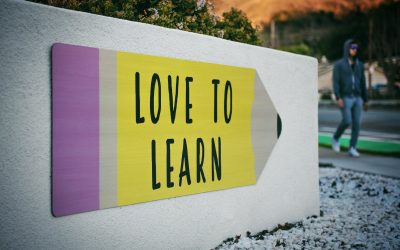What are the Best TEFL Programs?