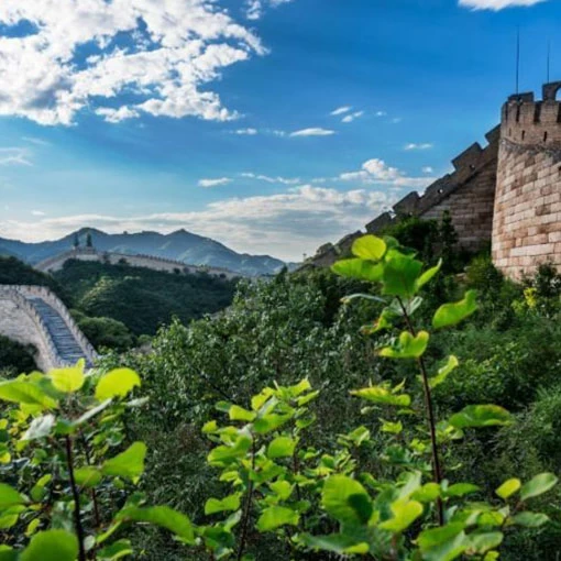China
