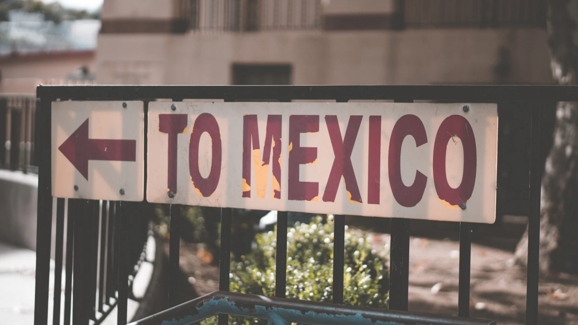 andrew-schultz-Ad1WbFtQF3Q-unsplash The Demand for TEFL Teachers in Mexico